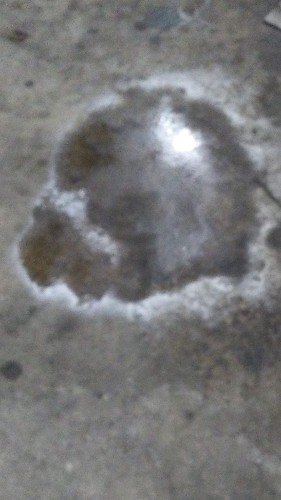 Salt 6